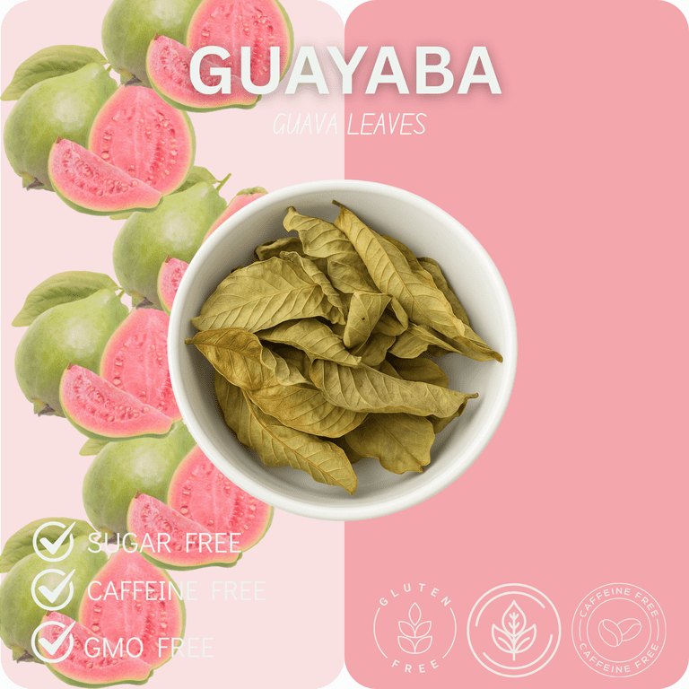 guava tobacco leaf Dried Leaves, Hojas de Guayaba, Loose Guava Tea 2 oz Central America Guava Leaves that Have Just