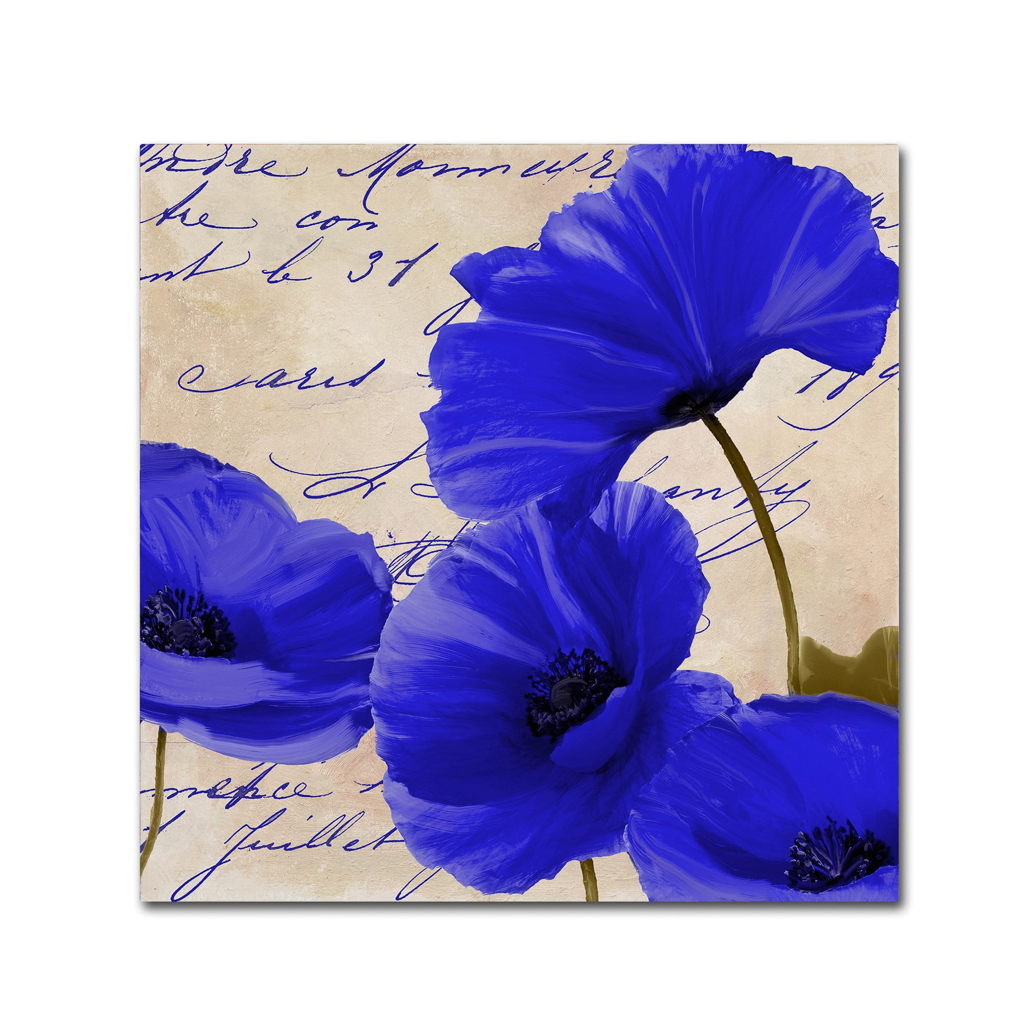 Trademark Fine Art "Coquelicots Bleues I" Canvas Art by Color Bakery