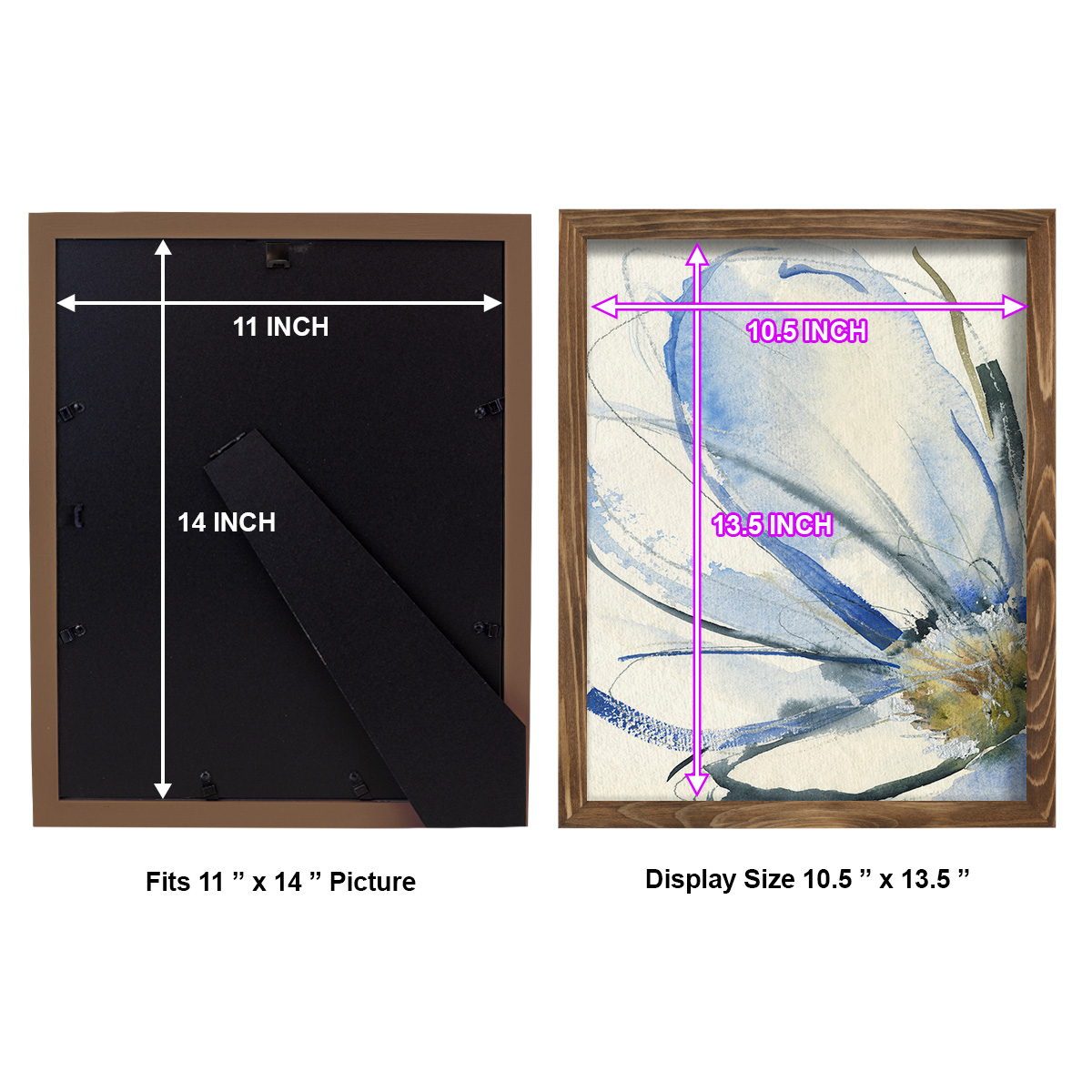 Cobalt & Paynes Petals I - Framed Print w/glass - Walnut