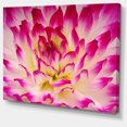 thumbnail image 1 of Designart - Smooth Purple White Flower Petals - Floral Canvas Art Print, 1 of 2