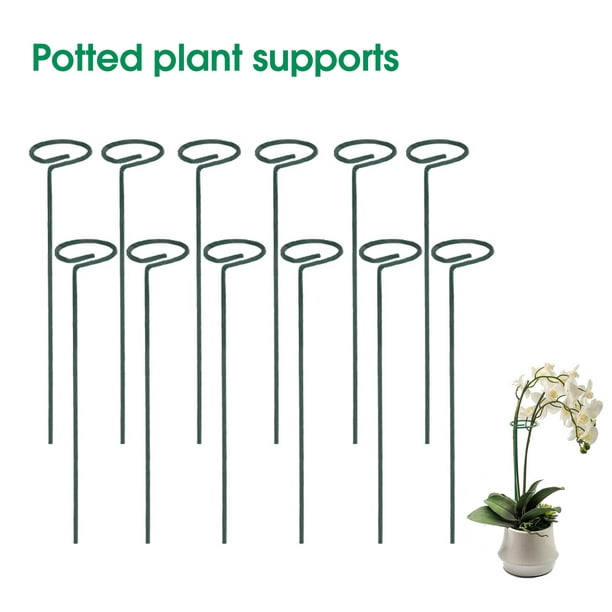 5Pcs Plant Stake Not-Easy-to Bend Anti-rust Smooth Finish Burrs-free Not  Harmful to Plants Floral Arrangements No Peculiar Smell Ring Metal Garden  Plant Supports Stake for Garden 