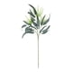 thumbnail image 2 of Decoración del hogar, decoración de habitaciones, decoración de paredes, plantas verdes artificiales, tallos largos, hojas de eucalipto, flores artificiales de plástico., 2 of 9