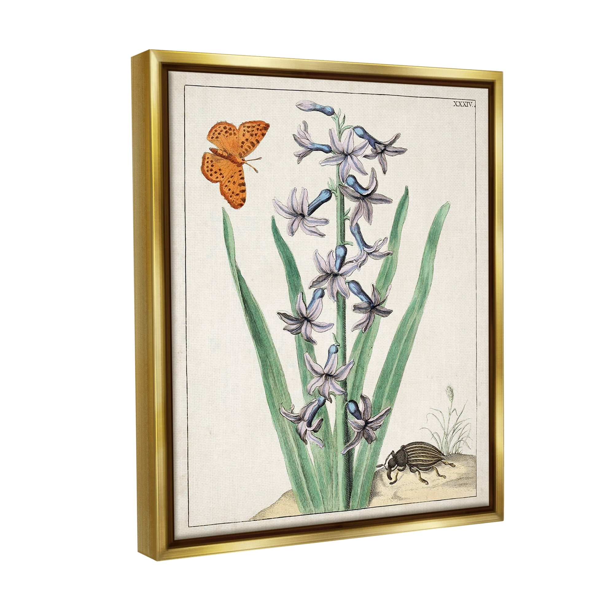 Stupell Industries Vintage Plant & Beetle Botanical & Floral Painting Gold Floater Framed Canvas Art Print Wall Art, 25 x 31