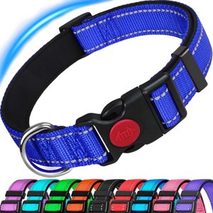 Camkey Reflective Nylon Dog Collar with Safety Buckle
