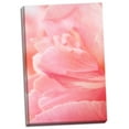 thumbnail image 1 of Gango Home Decor Pink Peony III by Karyn Millet (Ready to Hang); One 24x36in Hand-Stretched Canvas, 1 of 4