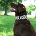 thumbnail image 3 of Country Brook Petz® 2 inch Rattlesnake Martingale Dog Collar, Large, 3 of 7