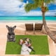 thumbnail image 5 of Piscinas de Perros para Perros Grandes Toalla de Playa Temática de Perro, Regalo de Bola de Toalla de Playa -30x60 Pulgadas Toalla de Playa Grande, Secado Rápido Absorbente de Peso Ligero Toalla de Pl, 5 of 8