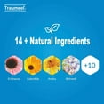 thumbnail image 4 of Traumeel S 50 Homeopathic Tablets Anti-Inflammatory Pain Relief with Analgesic Effect by Heel, 4 of 4