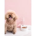 thumbnail image 4 of Dispensador automático de agua y comida 2 en 1 para mascotas: bebedero antiderrame y comedero para comida seca para gatos y perros., 4 of 5