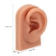thumbnail image 2 of Modelo de oreja perforadora, práctica de perforación 3D, modelo de oreja de silicona, práctica de perforación, modelo de oreja, rendimiento lleno de energía, 2 of 8