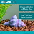 thumbnail image 3 of Vibrant Life Resin Aquarium Decoration, Seashell Ornament, 2.16" x 3.74" x 2.28", 3 of 7