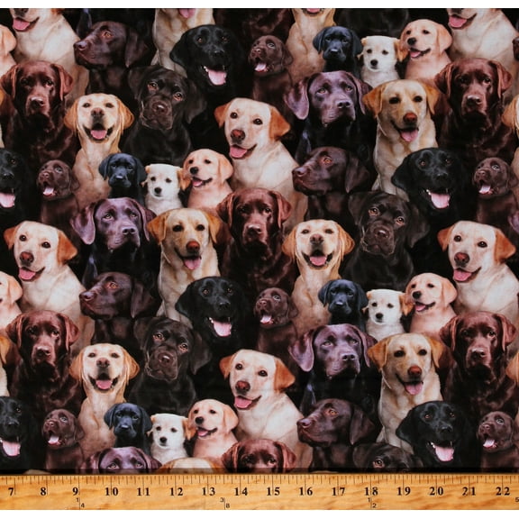Cotton Best Friend Labrador Retriever Animals Pets Dogs Puppies Multicolor Cotton Fabric Print by the Yard (686-MULT)