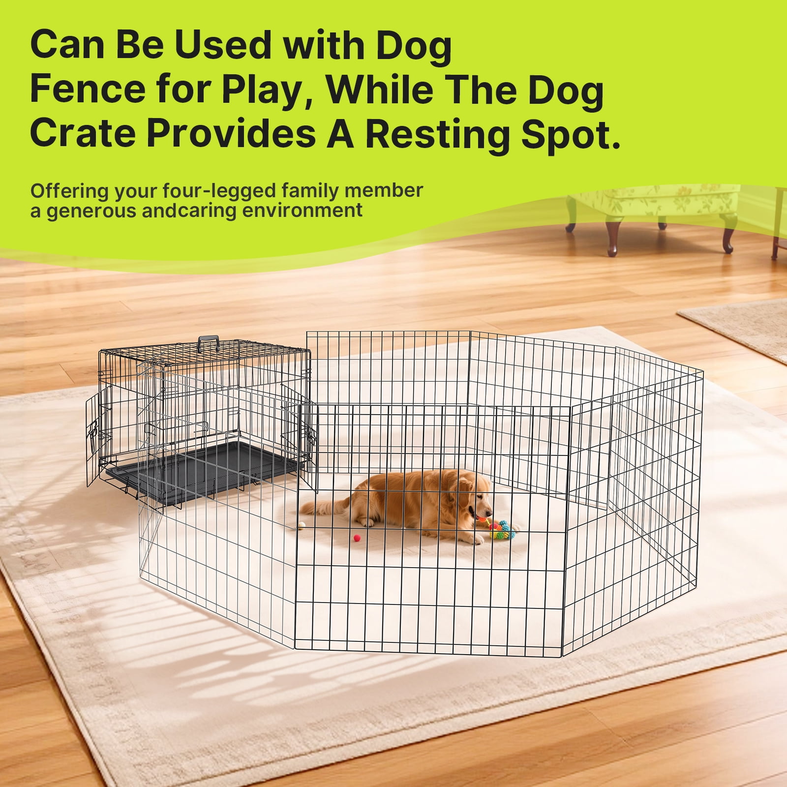 Zephypaws 30" Foldable Dog Crate for Small to Medium Dogs, Double Door Metal Wire Pet Cage Kennel with Plastic Leak-Proof Pan Tray