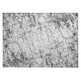 thumbnail image 2 of Addison Rugs Chantille Indoor/Outdoor Transitional Organic Black Washable Rectangle Rug, 1'8" x 2'6", 2 of 6