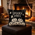 thumbnail image 2 of Clearance Halloween Decor Black Throw Pillow Covers - 18"x18" Soft Spooky Pumpkin Pillow Cover, Halloween Decorations Gift for Spooky Season & Cozy Fall Decor (1 Pack), 2 of 5