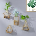 thumbnail image 3 of Jarrón Para Colgar En La Pared, Contenedor Hidropónico De Vidrio De Hierro Dorado Decorativo, Estantes De Flores De Estrella De Amor, Decoración Geométrica Para El Hogar, Contenedor Hidropónico Eigraketly HA023750-00, 3 of 7