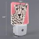 thumbnail image 2 of Fotbe Pink Cheetah Art Luz Nocturna LED, Luz de Noche con Sensor de Luz Natural de Anochecer a Amanecer, Se Enchufa a la Pared, Blanco Cálido 0.5W-UK, 2 of 7