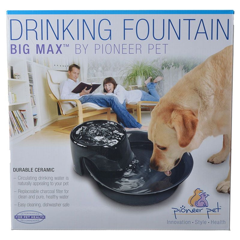 pioneer big max