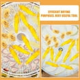 thumbnail image 4 of SHINYPASING 10Pcs Multipurpose Silicone Dehydrator Mats for Fruit Meat Drying At Home, 4 of 8