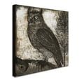 thumbnail image 3 of Trademark Fine Art "Owl 2" Canvas Art by Color Bakery, 3 of 4