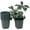 Green, variant on Cotta Planters 5 Inch Nursery Pots 10-Pack 0.5 Gallon Plastic Planters Liners Greenhouse supplies