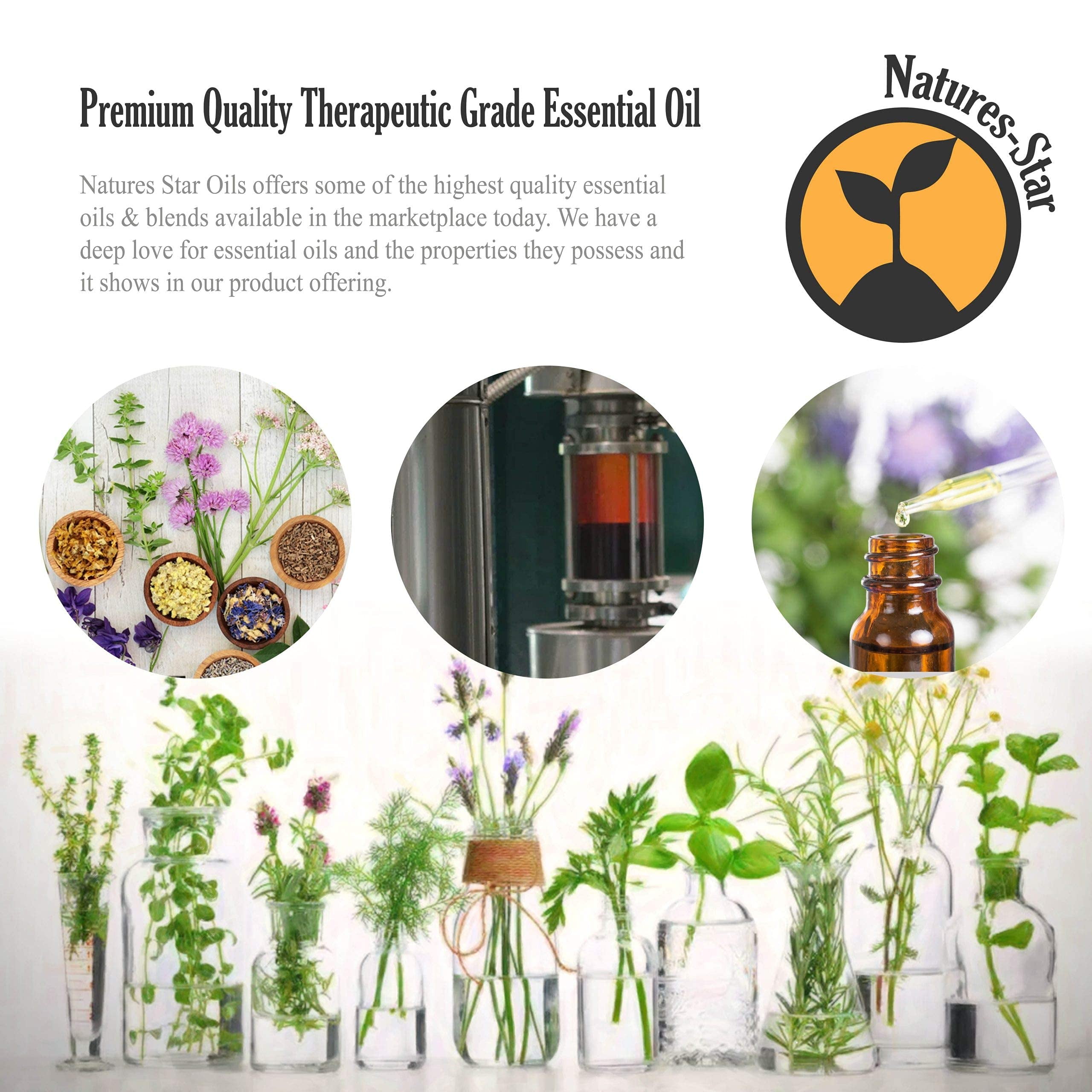Natures-Star - Eucalyptus Essential Oil (Bulk 16oz) Therapeutic Grade for Aromatherapy, Diffuser, Soap Making, Candles