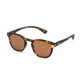 thumbnail image 2 of Lentes de Lectura para Sol B+D Dot Sun Readers Tortuga, 2 of 7