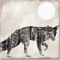 Trademark Fine Art "Going Wild VII" Canvas Art by Color Bakery