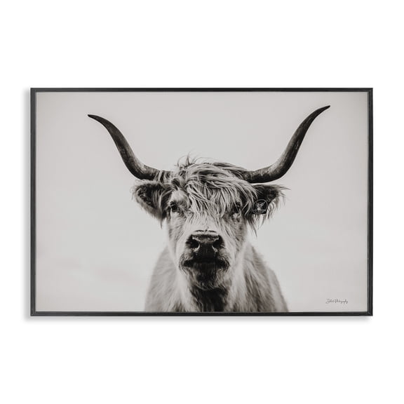 Stupell Industries Rustic Lodge Calm Cattle Portrait Black Framed Giclee Art, 18 x 12, by Dakota Diener