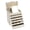 Champagne-6 layer, variant on Clear White 4 Layer Jewelry & Makeup Storage Chest Organizer