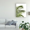 thumbnail image 3 of Trademark Fine Art 'Palm Leaf 1, Green On White' Canvas Art by Fab Funky, 3 of 3