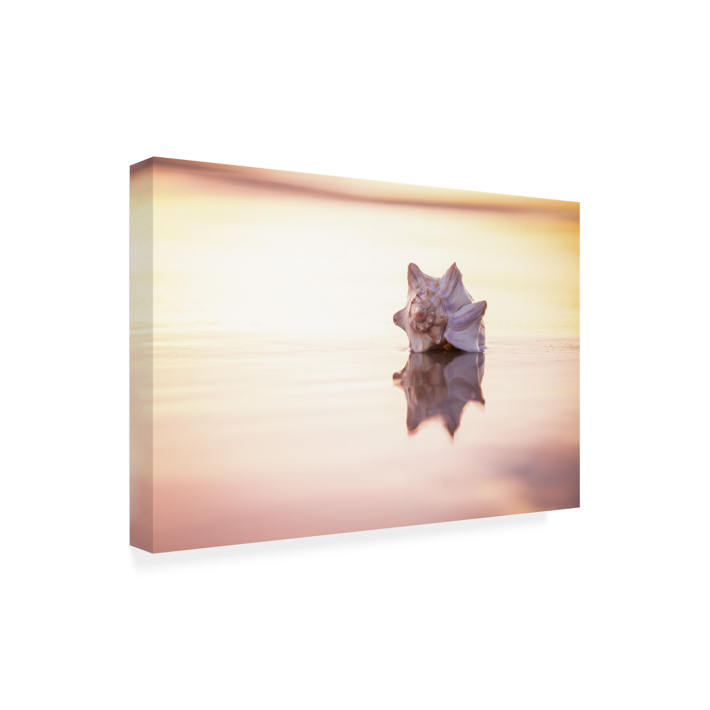 Chris Moyer 'King of the Beach' Canvas Art