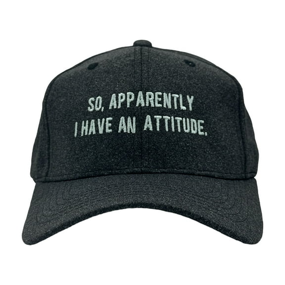 So Apparently I Have An Attitude Hat Funny Graphic Cap