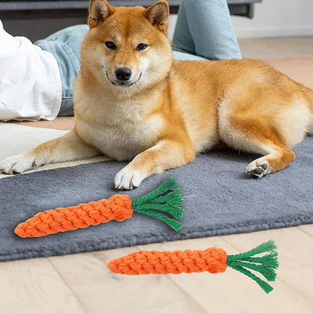 Juguetes interactivos para perros Fernando Masticable interactivo de animales