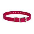 thumbnail image 1 of SportDOG Brand 3/4 Inch Collar Strap, 1 of 4
