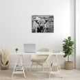 thumbnail image 2 of Stupell Industries Wild Country Cattle Portrait Black and White Photography, 24 x 30, Design by Nathan Larson, 2 of 5