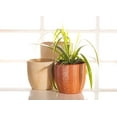 thumbnail image 5 of Abbott Collection Small Dot Pattern Planter-4" H, Beige (27-PINPOINT-142-SM), 5 of 7