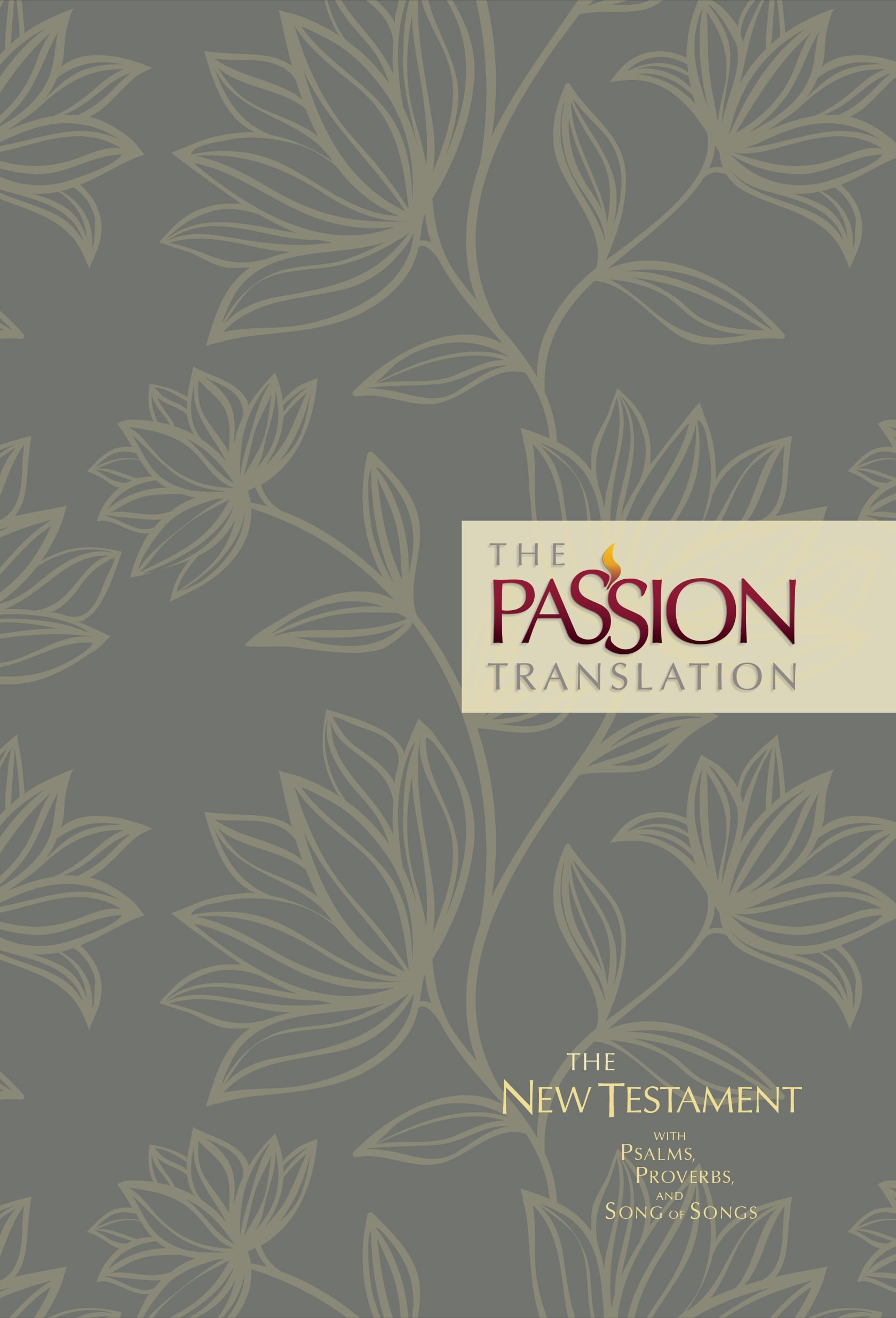 Passion Translation The Passion Translation New Testament (2nd Edition