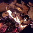 View all media