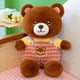 thumbnail image 1 of Cute / Soft/ Brown Bear Plush Toys/ Children's Pacifying Brown Bear Dolls/ Children's Birthday Gifts/ Christmas Giftspink50cm Deng Xun unisex, 1 of 2