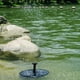 thumbnail image 4 of Matsuzay Fuente de agua con energía solar de 6 V, dispositivo de riego para jardín, patio, patio, fuente de agua decorativa, 13 cm Jardín y Patio negro 16cm Matsuzay HA4935-02B, 4 of 6