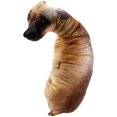 thumbnail image 1 of 3D Bend Dog Printed Throw Pillow Children Favorite Toy Cushion, 1 of 5