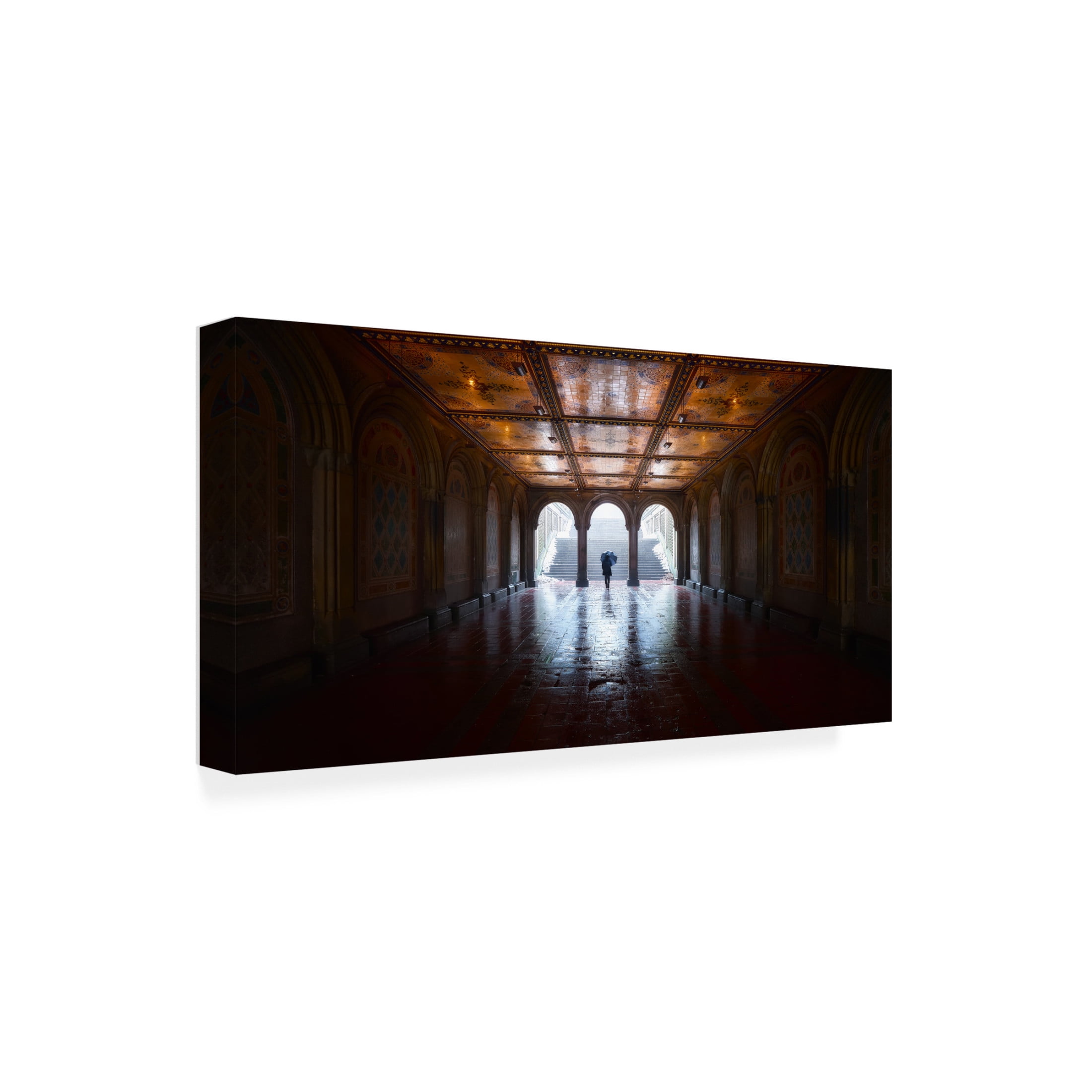Trademark Fine Art Javier de la The Passageway Canvas Wall Art