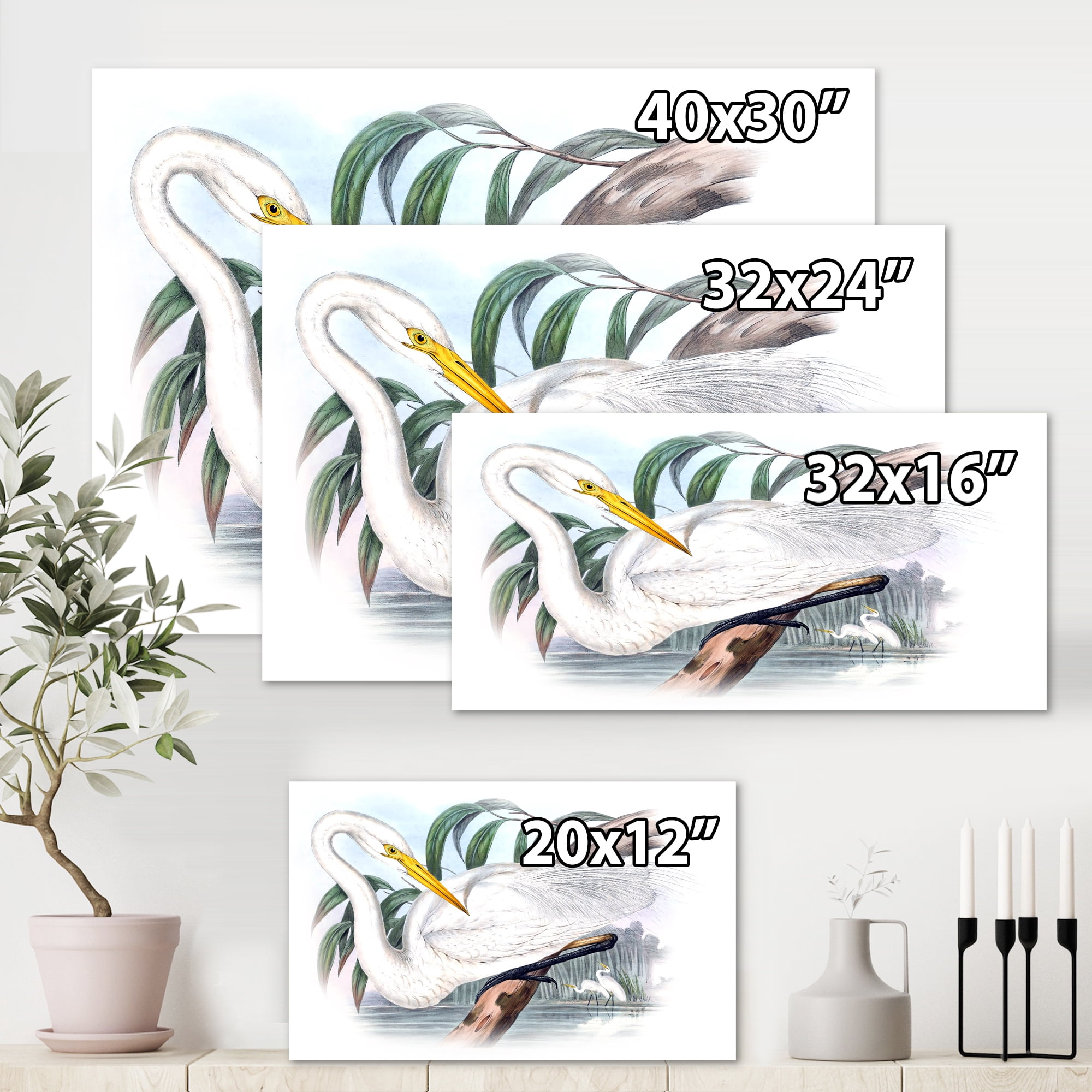 Designart ' Ancient Australian Birds IV ' Traditional Canvas Wall Art Print