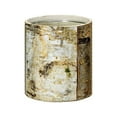 thumbnail image 2 of Serene Spaces Living Glass Birch Bark Vase, Small, White, 2 of 6