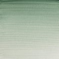 thumbnail image 3 of Pintura Acuarela 5 ml WINSOR & NEWTON Verde Terra S-1 #637, 3 of 3