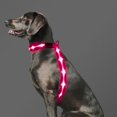 thumbnail image 1 of Chaleco para perro Light Up PzrLit LED recargable a prueba de agua, 1 of 6