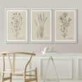 thumbnail image 2 of IDEA4WALL Framed Canvas Print Wall Art Set of 3 Black & Brown Wildflowers Bouquet Illustrations Nature Wilderness Vintage Art Boho Retro Wall Decorative Artwork for Rooms - White 24"x36"x3, 2 of 5