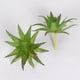 thumbnail image 1 of Paquete de 6 suculentas artificiales verdes surtidas en diferentes suculentas falsas colgantes texturizadas para decoración de pared, materiales de bricolaje Banban ZefeiWu 8390614050860, 1 of 1