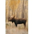 thumbnail image 2 of Bailey, Ann 11x14 Gold Ornate Wood Framed with Double Matting Museum Art Print Titled - Golden Fall, 2 of 4